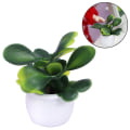 Miniatyrbild 5 av 5: 1/2/3/5 1/12 Konstgjord Bonsai Modell Micro Landscape Sovrum jasper 1cm 1Set