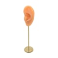 Miniatyrbild 4 av 5: 1/2/3 Örhänge Display Stand Human Ear Model Stud Holder Showcase Left Normal Skin Height: 18cm 1Set