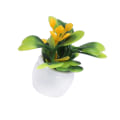 Miniatyrbild 1 av 3: 1/2/3/5 1/12 Konstgjord Bonsai Modell Micro Landscape Sovrum yellow flower 1cm 1Set