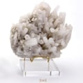 Miniatyrbild 3 av 5: 1/2/3 Clear Display Stand för Mineral Geode Coral Pieces Hållare 1Set