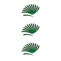 Miniatyrbild 3 av 5: 1/2/3/5 12 stycken För Bågskytte Jaktfjäder Fletching Right Dark Green 3Set