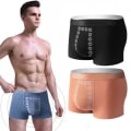 Miniatyrbild 2 av 5: Herrunderkläder Ice Silk Boxer XL grey XL