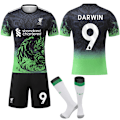 Miniatyrbillede 1 af 2: 2025-2026 Liverpool Special Anniversary Edition Grøn Fodboldtrøje Nr. 9 DARWIN S