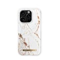 Miniatyrbillede 6 af 7: Printed Case MagSafe iPhone 16 Pro Carrara Gold