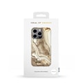 Pikkukuva 3 / 4: Printed Case iPhone 13 Pro Golden Sand Marble Beige