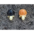 Miniatyrbillede 2 af 5: 20 stk. Miniature Skildpadde Figur af Harpiks