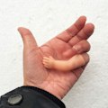 Miniatyrbild 4 av 5: Mode Lilla Hand Mynt Försvann Trick Leksak Verktyg Närbild Magic Show Rekvisita Kaesi