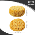 Pikkukuva 4 / 5: 4 kpl Texture Sponge Kipsilevy Texture Sponge Texture Patch Sieni tekstuurin korjaamiseen Tee itse maalaus Cei-hy