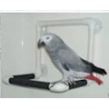 Miniatyrbild 1 av 5: Fågel Parrot Stativ Abborre Dusch Abborre Stående leksak Bärbar sugkopp Parrot Badkar Stativ Tillbehör Rack Plattform Parakit Fönster Väggspel