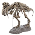 Pikkukuva 2 / 4: Tyrannosaurus Rex Skeleton Dinosaur Animal Collector Decor Model Lelu