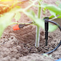 Miniatyrbillede 5 af 5: Dele Vandingsdråbeholder, slangeholder Rør 4/7 mm Grøntsagshaver Blomsterbede Planteværktøj Plænevanding (20 stk, sort)