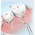 Miniatyrbillede 5 af 5: 2 Erstatningstips til Implantatproteser