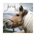 Miniatyrbild 4 av 5: Rostfritt stål Snaffle Bits Hästbits Western Snaffle Bits för munträningsbits med kopparport Silver