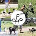 Miniatyrbilde 4 av 5: Dobbel hund 360° flokefri bånd for 2 hunder Dobbel hundebånd