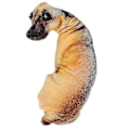 Miniatyrbilde 2 av 5: 3d Bend Dog Printed Pute Barn Favoritt Toy Pute
