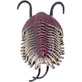 Miniatyrbillede 5 af 5: Trilobit Model, Fortidsdyr Figur Fødselsdagsgave, Simulation til Familiefest