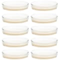 Miniatyrbillede 1 af 3: 10 stk. Forhældte Agar plader Petriskåle med Agar Videnskabseksperiment Supplies Tw