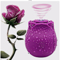 Pikkukuva 1 / 5: 2024 Ruusu naisille Mini Hierontalaite Stress Relief 10 Modes Pdk Purple