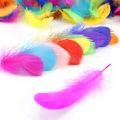 Miniatyrbillede 1 af 4: Farverige fjer, 300 STK Feather Natural Crafts Fjerdekorationer til DIY Dream Catchers Hatte Kostume Hjem Fest Bryllupsdekorationer 8-12CM