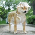 Miniatyrbilde 1 av 5: Regnfrakk til dyr for hunde Vanntette regnfrakker til valper stcyv A White S