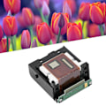Miniatyrbillede 5 af 5: Farveprint Hoved Til Pixma Ip100 Ip110 Printere Scannere Tilbehør Qy60068
