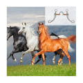 Miniatyrbild 3 av 5: Rostfritt stål Snaffle Bits Hästbits Western Snaffle Bits för munträningsbits med kopparport Silver