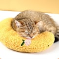 Miniatyrbild 3 av 3: Mjuk hundsäng lugnande kuddar husdjur nackkudde för valp ultra mjuk fluffig husdjur lugnande leksak halv munk cuddler Yellow