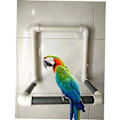 Miniatyrbild 2 av 5: Fågel Parrot Stativ Abborre Dusch Abborre Stående leksak Bärbar sugkopp Parrot Badkar Stativ Tillbehör Rack Plattform Parakit Fönster Väggspel