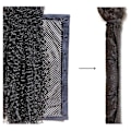 Miniatyrbilde 5 av 5: Length Lock Hårførrer, Lengde og Lås Hårførrer, Length-N-Lock, Lengde og Lås Hårførrernett, 7 tommer