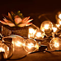 Miniatyrbild 3 av 5: G40 Glödlampor Ersättning G40 Tungsten Glödlampa 7W 220-240V Klar Globe Glödlampa E12 Bas Glödlampor