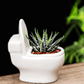 Miniatyrbillede 3 af 5: Urtepotter Vase Ornamenter Plantepotter Hjemmehave Dekoration