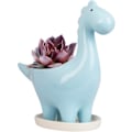 Miniatyrbild 1 av 4: Keramisk suckulentkruka med fat, dinosaurieformad kaktusblomkruka, minigåva för inomhusväxtkruka