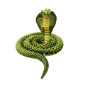 Miniatyrbild 1 av 5: 2,4 m Cobra plysch orm leksak orm Cobra orm plysch leksak stor kung Cobra plysch orm orm[HK] Green