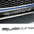 Miniatyrbillede 1 af 3: Sejt Quattro Logo Badge Emblem Bilsticker Frontgrill Nedre Trim Til Aud-i A6 A7 - jue.T