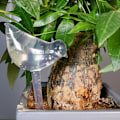 Miniatyrbillede 1 af 5: Automatisk Dryp-Vandingssystem Automatisk Vandingspids Planter Blomst Indendørs Husholdningsvandere L Bird