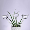 Miniatyrbillede 3 af 5: Automatisk Dryp-Vandingssystem Automatisk Vandingspids Planter Blomst Indendørs Husholdningsvandere L Transparent