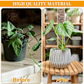 Miniatyrbild 4 av 5: Monstera Stöd, 61 cm 4-Pack Sphagnum Stöd, med Kardborreband och Spikar Inomhus Växtstöd, Monstera, Växtstöd för Klätterväxter Monstera Support f