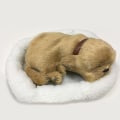 Miniatyrbilde 2 av 4: Søt Simulert Sovende Katt/Hund Plysjdukke Med Rede Puster Fluffy Katt/Hund -t F