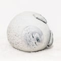 Pikkukuva 1 / 4: Japanin Osakan hyljepyyhe Meriresortti Suosittu Pehmeä Hyljepyyhe Akvaario Pehmolelu White 40cm