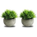 Mini Artificial Potted Plants (2-Pack) - Fake Green Grass Topiary Shrubs with Grey Pot