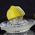 Miniatyrbilde 3 av 5: Sitrusappelsin- og sitronspresser, håndpresser med glass og med håndtak og helletut i tungt glass