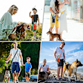 Miniatyrbild 5 av 5: Justerbara axelremmar för vattenflaskor, strandflaskväska, vattenflaskhållare för hundar, för sport, gym, vandring, camping, promenader Black and Blue