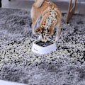 Miniatyrbillede 5 af 5: Hunde Vandskål, Hundeskål, Spildfri Vandskål til Kæledyr 35oz, Langsom Vandfoder