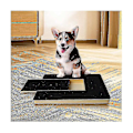 Miniatyrbillede 2 af 5: Hundesøm Paw Scratch Pad - Fil Trimningsbræt Trimning Scratcher Box Emery Sandpapir Filing Scratch