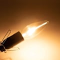 Pikkukuva 5 / 5: 10 kpl 60W 120V E12-kanta B10 CTC hehkulamput, läpinäkyvät kynttilänmuotoiset lamput -yuyu