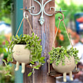 Miniatyrbillede 3 af 5: Swing Face Planter Pots, Søde Væghængte Resin Blomsterhoved Planter til Indendørs & Udendørs, Succule