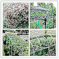 Miniatyrbillede 3 af 3: 4x10m Grønt Have Net, Fuglenet Dam Plante Net Til Beskyttelse Af Frugttræ Grøntsagsplaster Blomster Afgrøder