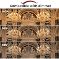 Miniatyrbilde 4 av 5: 42w E14 C35 Dimbar Halogenpære Ac 220-240v Varmhvit 2700k E14 Transparent Halogen Lyspære 10PCS