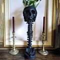 Miniatyrbild 2 av 5: Skalle med Ryggrad Växtkruka Retro Mänsklig Skalle Huvud Blomkruka Lämplig för Hem Kontor Utomhus Black