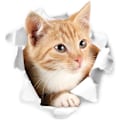 Miniatyrbillede 3 af 5: Søde 3D Katte Vægmærker 3 Pak Vægstickers Piger Drenge Soveværelser Stue Vægdækning Cat 2